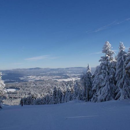 Gasthof Alte Post Bischofsmais Exteriér fotografie