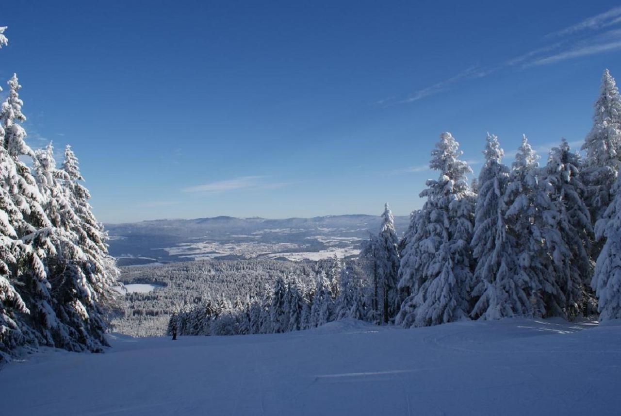 Gasthof Alte Post Bischofsmais Exteriér fotografie